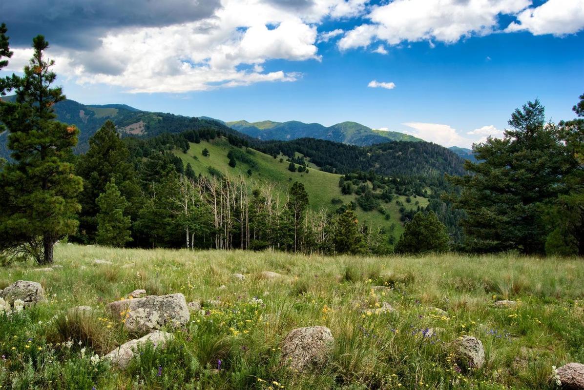 Destiny Cabin, 2 Bedrooms, Fireplace, Midtown, Sleeps 7 Ruidoso Exteriér fotografie